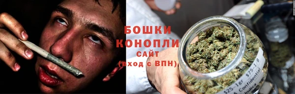 тгк Богородицк