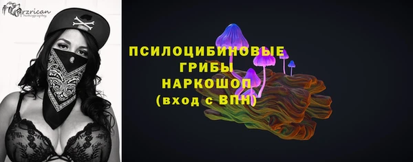 тгк Богородицк