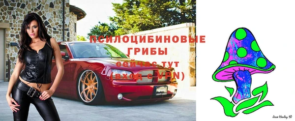 a pvp Богородск
