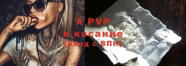 шишки Богданович