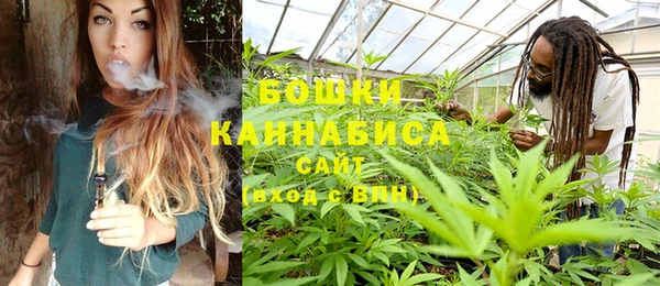 шишки Богданович